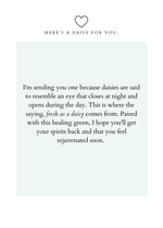 Load image into Gallery viewer, Get Well Soon Card – Daisy
